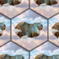 Meow (2023 Remaster)