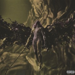 the anwser to this beautiful mess is and always has been love (prod. wetgropes)