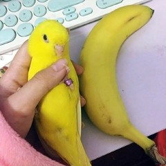 ⋛⋋( ‘Θ’)⋌⋚