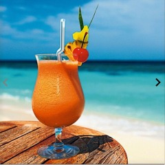 DJRITZ SUMMERGROOVEZ #1