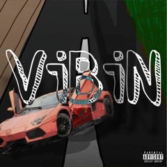 VIBIN