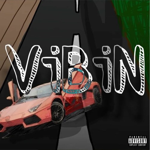 VIBIN