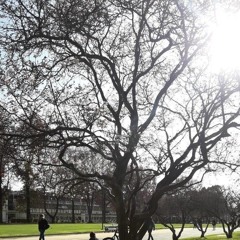 Las sagradas zonas del éter