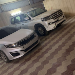 عيال وايل يسعدون عيونك