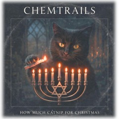 How Much Catnip For Christmas