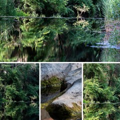 6-06-2025_Rio Ripoll, Parc Natuarl de Sant Llorenç del Munt i l´Obac.wav