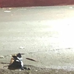 overdub improvisation 12/4/20