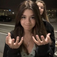 ｡
