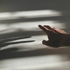 döner adımlar evine