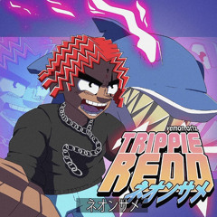 Did me wrong / Playboi Carti x Trippie Redd Type beat (prod. GeoGotBands)