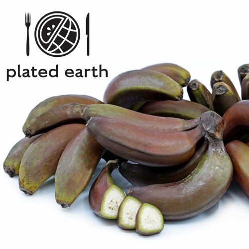 Episode 117 - Food Buzz: History of Red Bananas