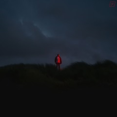 Maysev - HASS