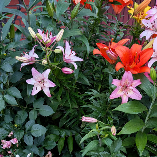 The Day After Yesterday