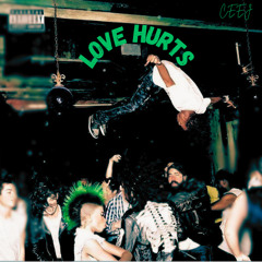 Playboi Carti, Travis Scott - Love Hurts (CEEJ VIP EDIT)