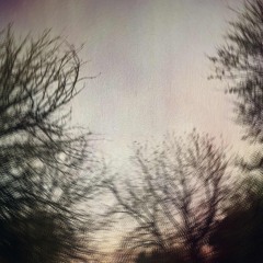 don’t need help. (joituz)