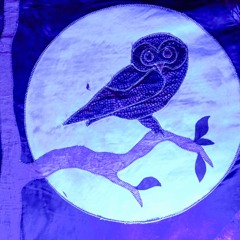 Live@Owl Farm 2025: Saturday Night