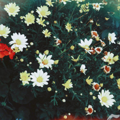 floating through life {prod. prodbyscrt}