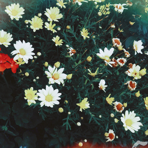 floating through life {prod. prodbyscrt}