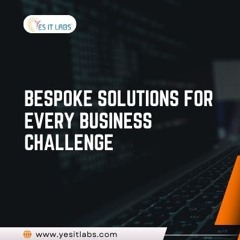 Custom Software Development Services What To Expect In Your First Project