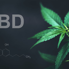 Warum CBD bei dir nicht wirkt – und was du dagegen tun kannst!