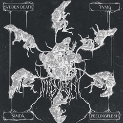 Svdden Death x Nimda x Yvm3 x Peeling Flesh - Midnight (SHWEEZ FLIP)