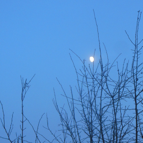 Zabiť Františka           (Full Album)