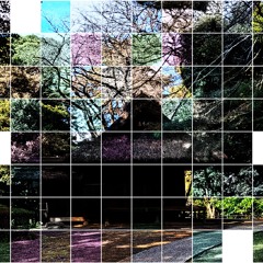 Elias - It's summer somewhere still