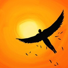 Icarus