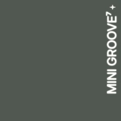 mini groove⁷