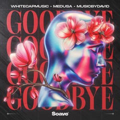 WhiteCapMusic & MusicByDavid - Goodbye (feat. Medusa)