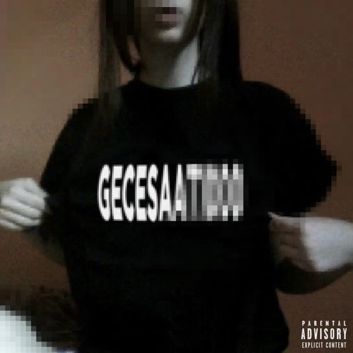 GECESAAT1000 (1)
