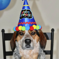 FELIZ CUMPLEANIOS