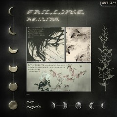 Frillume - Beijing