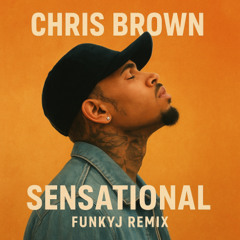 Sensational (FunkyJ Remix)(Filterd Vocal)