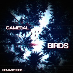 Cameral - Birds [Remastered] (Free Download)