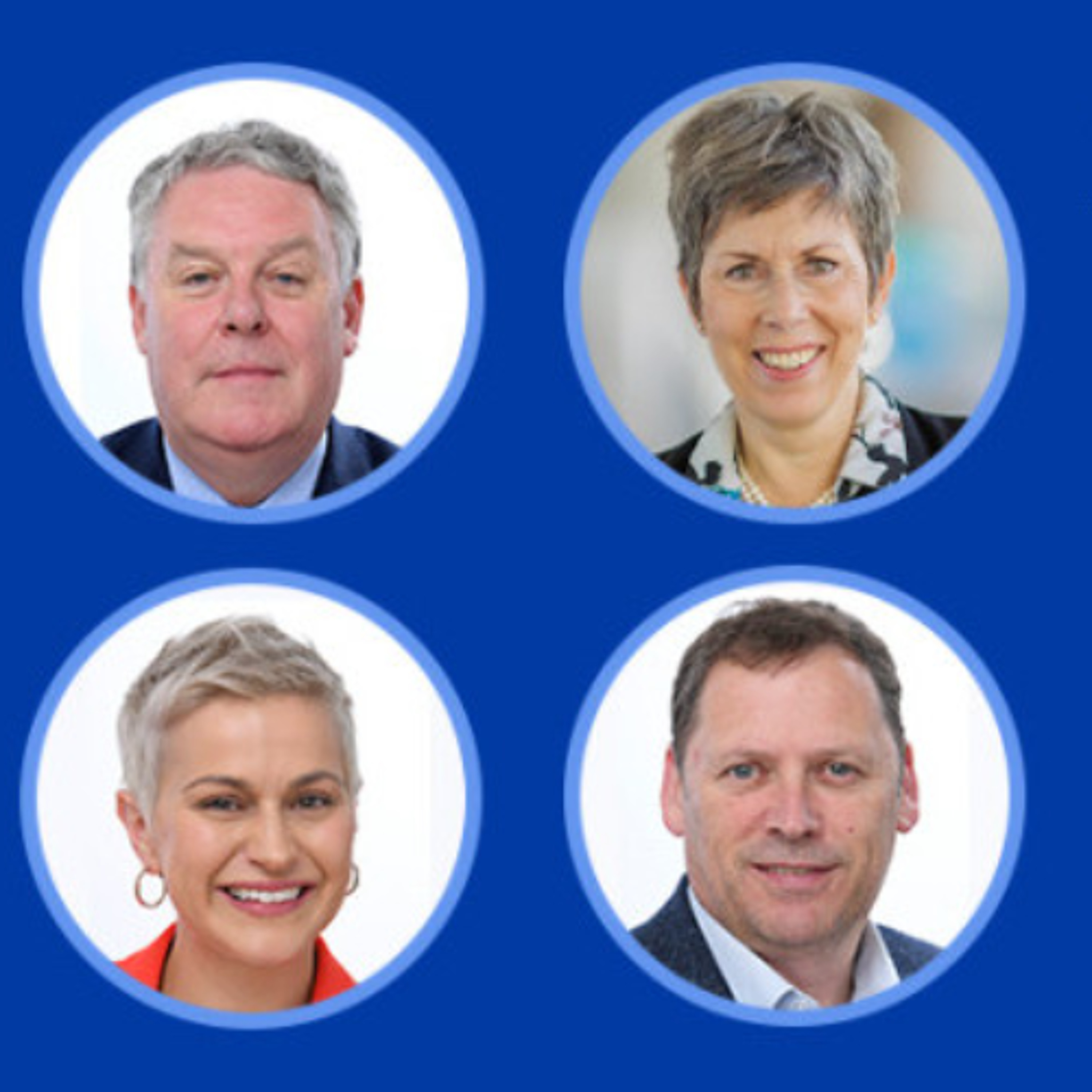 Ireland’s Voice in Europe: In Conversation with Midlands-North-West MEPs