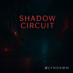 Shadow Circuit