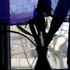 No One Lives Here Anymore - Change of Address f. Myrh