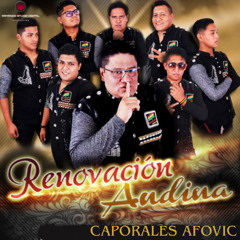 DJ BLACK - Vivir junto a ti - Un hombre normal - Renovación Andina