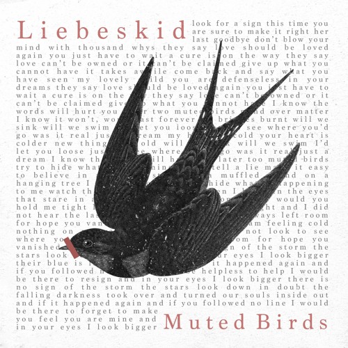 Liebeskid - Muted Birds EP