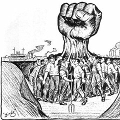 Solidarity