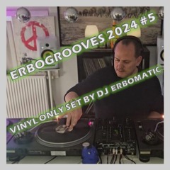 ERBOGROOVES 2024 #5 (VINYL ONLY SET BY DJ ERBOMATIC)
