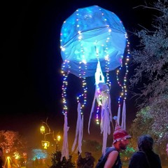 Lord Wiggle - Jellyfish in Space