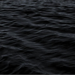Dark Waters