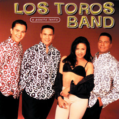 Stream Los Toros Band | Listen to Serie 32 playlist online for free on  SoundCloud