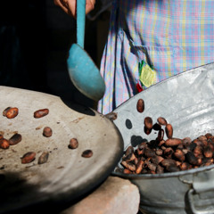 Liz: Chocolate artesanal