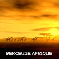 Berceuse Academie S Stream