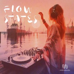 Flow States ✦ Inuitive Live Journey ✦  Organic Downtempo | Deephouse | Melodic Techno