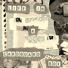 DISCMIX12 Life In A Cardboard Box
