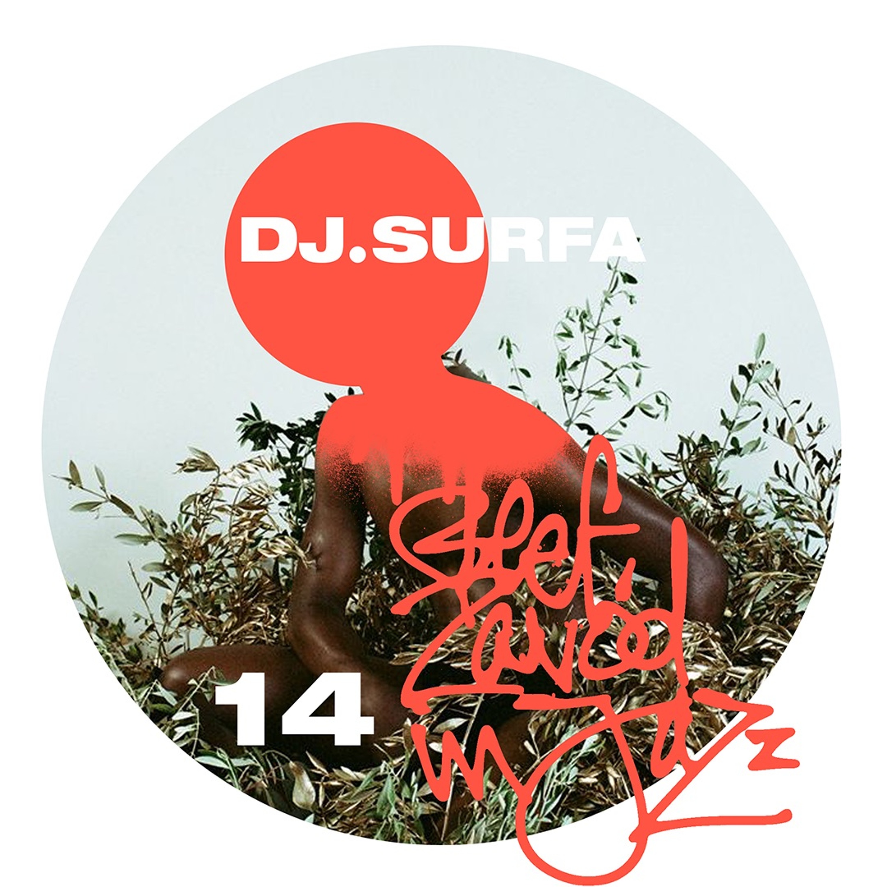 Dj Surfa